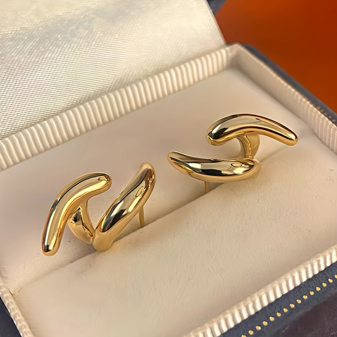 Irregular and Unique Temperament Women's Earrings