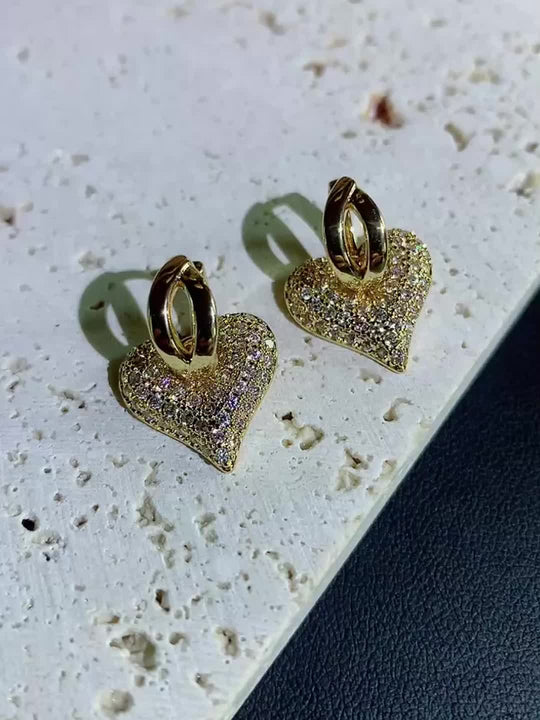 Stylish Heart Zirconia Earrings