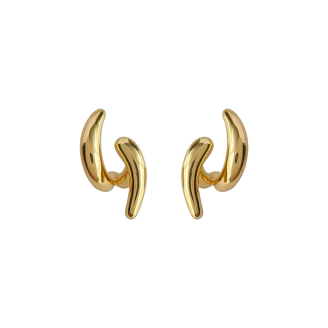 Irregular and Unique Temperament Women's Earrings