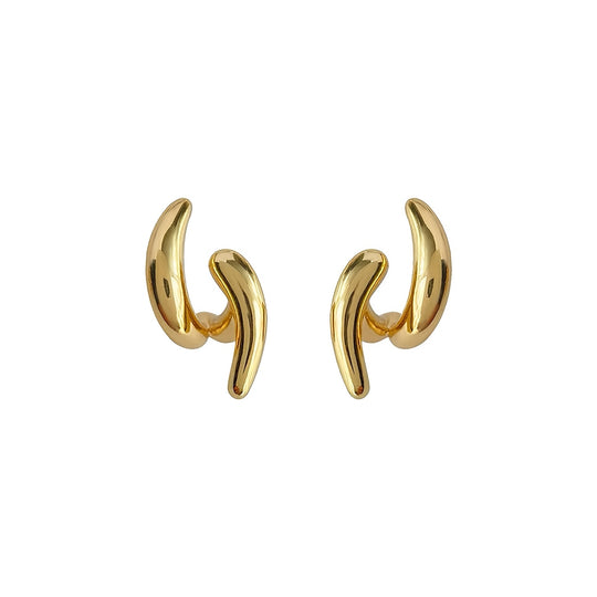 Irregular and Unique Temperament Women's Earrings