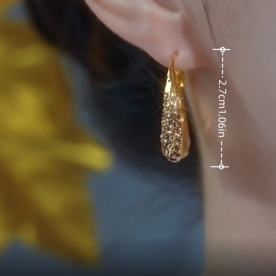 Elegant Twisted Hoop Earrings