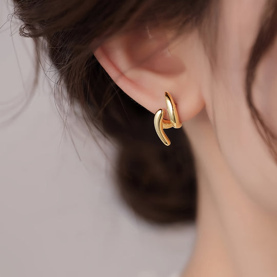 Irregular and Unique Temperament Women's Earrings