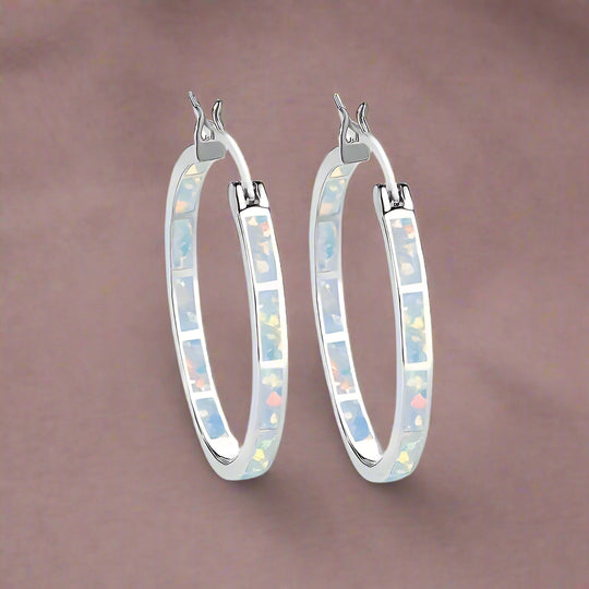 Elegant  Silver Hoop Earrings