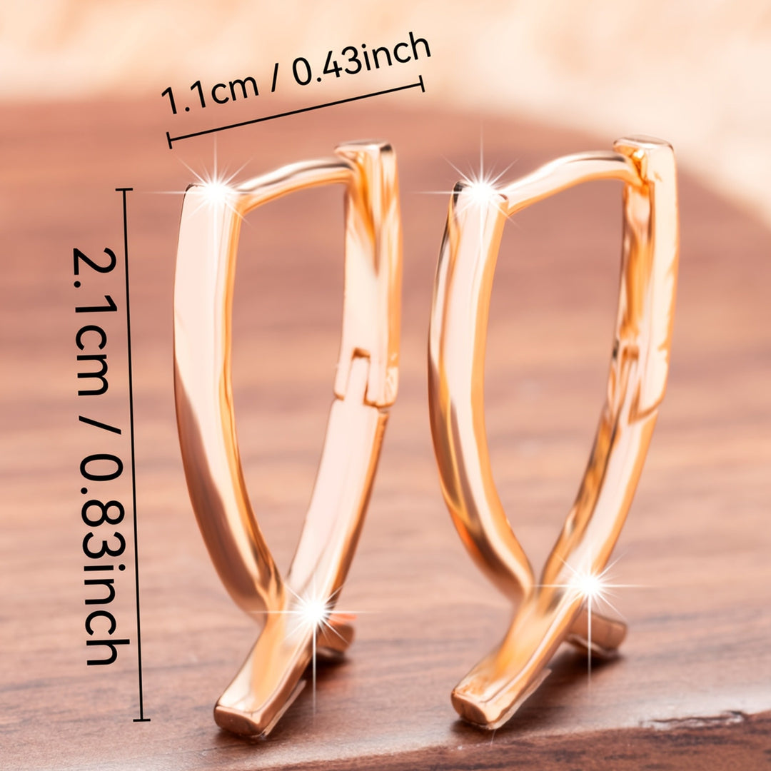 Chic Elegant Hoop Earrings